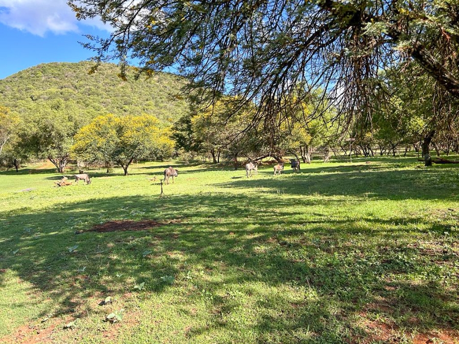 7 Bedroom Property for Sale in Parys Free State